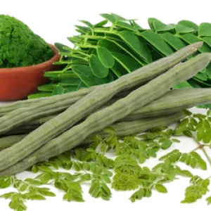 Moringa_Leaf_and_Drumstick_large