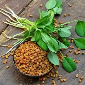 fenugreek-seeds-and-plant-on-a-old-wooden-background-picture-id1285888022